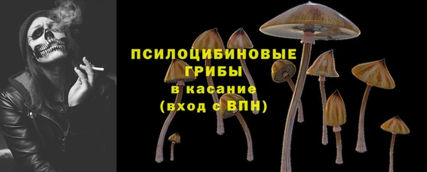 дурь Богородск