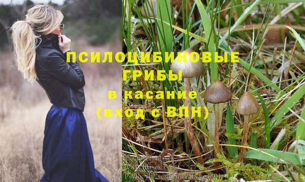 кокаин перу Богданович