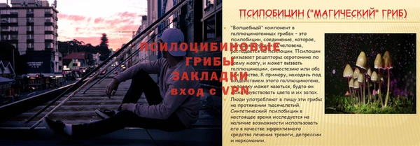 кокаин перу Богданович