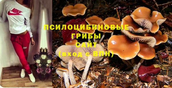 кокаин перу Богданович