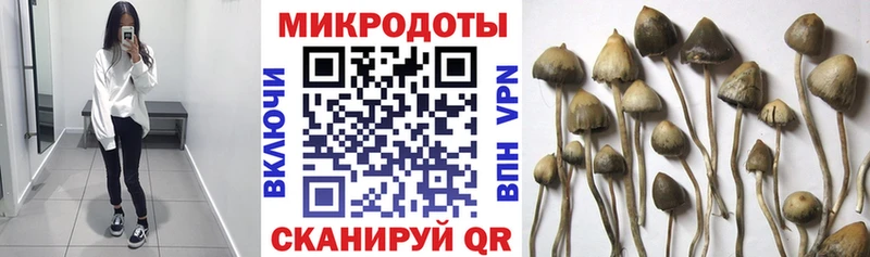 Галлюциногенные грибы прущие грибы Нытва
